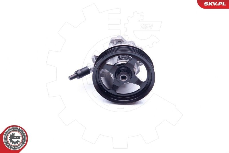 Servo čerpadlo ESEN SKV 10SKV266 ESEN SKV 10SKV266 Servo čerpadlo LAND ROVER RANGE ROVER 2009