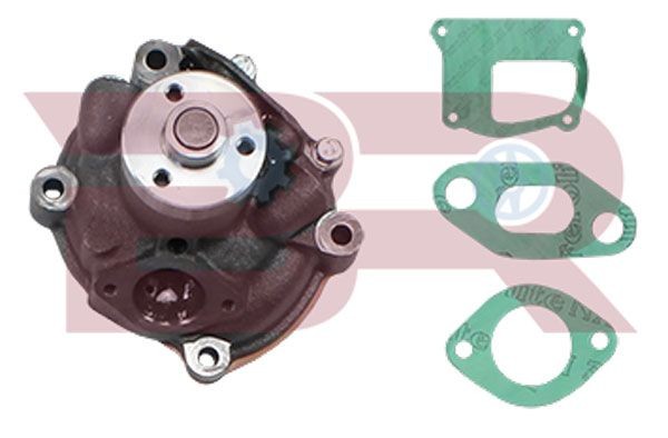 BOTTO RICAMBI Αντλία νερού BRAC1101 Αντλία νερού BOTTO RICAMBI Land Rover FREELANDER BRAC1101