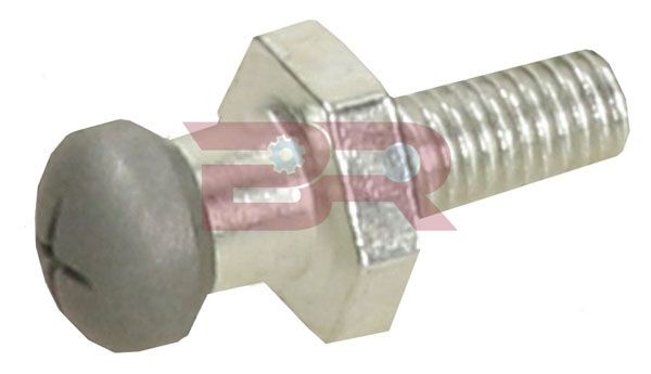BOTTO RICAMBI Boulon à rotule, commande d'embrayage BRF1617 BRF1617 BOTTO RICAMBI Fourchette d'embrayage BMW pas cher