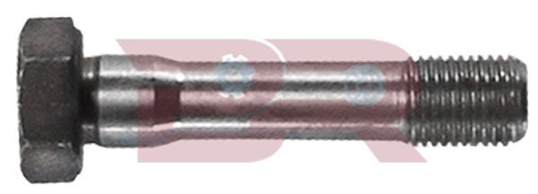BOTTO RICAMBI Boulon de bielle BRM2000 Tête de bielle et écrou BOTTO RICAMBI 4 RUNNER BRM2000 pas cher