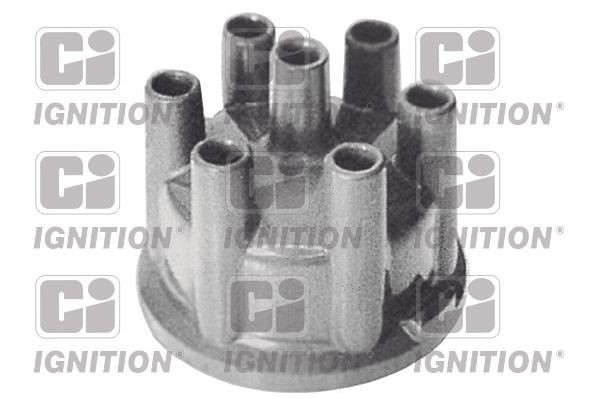 QUINTON HAZELL Stroomverdelerkap XD105 QUINTON HAZELL XD105 originele Verdelerkap FORD USA PROBE prijs