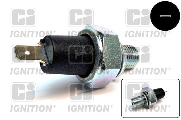 QUINTON HAZELL Olietrykskontakt XOPS6 QUINTON HAZELL XOPS6 VW Scirocco 1 Olietrykskontakt pris