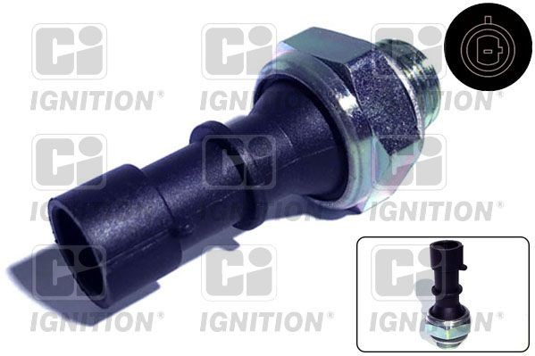 Interruttore di pressione olio QUINTON HAZELL XOPS66 QUINTON HAZELL XOPS66 Bulbo pressione olio Chevrolet CAPTIVA 2020