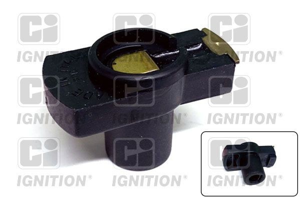 QUINTON HAZELL Stroomverdelerrotor XR138 QUINTON HAZELL XR138 Distributeur rotor Ford Fiesta Mk3 prijs