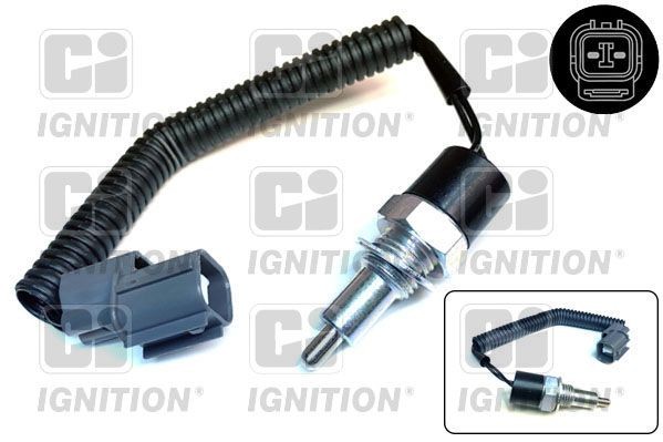QUINTON HAZELL Kontakt, baklygte XRLS112 QUINTON HAZELL XRLS112 Honda Accord VII CP Baklyskontakt pris