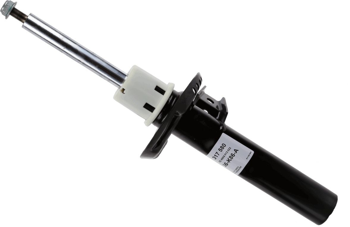 Ammortizzatore SACHS 317 580 SACHS 317 580 costo Ammortizzatori Audi TT 2010