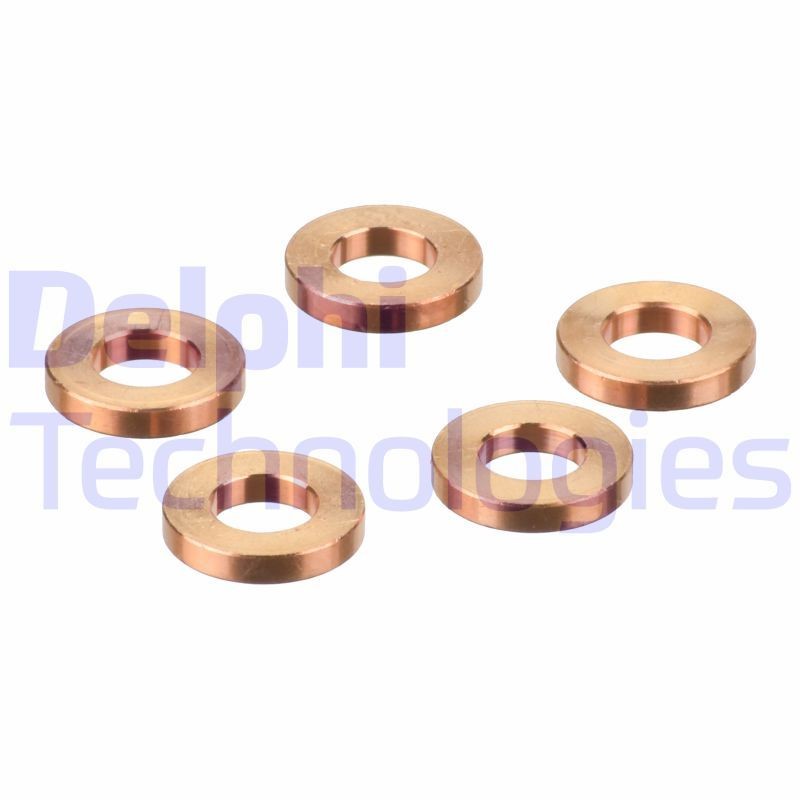 DELPHI Dichtring, Einspritzventil 9001-850P 9001-850P Injektor Dichtung DELPHI RENAULT KOLEOS
