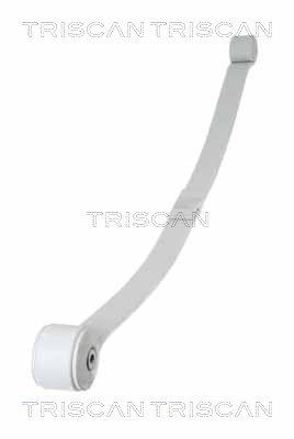 TRISCAN Bladfjær 8765 16048 TRISCAN 8765 16048 Bladfjær FORD Transit Mk7 Minibuss (V363) 3.7 CNG RWD 279 hk 2018