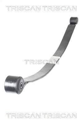 TRISCAN Σούστες 8765 16049 8765 16049 TRISCAN Πακέτο ελατηρίων Ford φθηνά