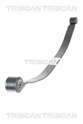 TRISCAN Σούστες 8765 16051 8765 16051 TRISCAN Σούστες CUPRA φθηνά
