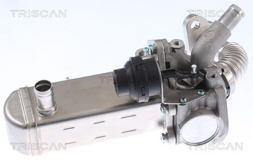 TRISCAN EGR-jäähdytin 8813 14031 8813 14031 TRISCAN Egr jäähdytin CITROËN