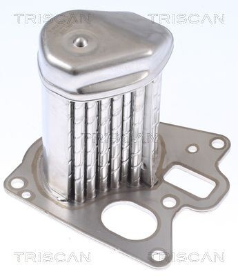 TRISCAN Radiador EGR 8813 24107 TRISCAN 881324107 Radiador de gases de escape Opel Zafira B preço