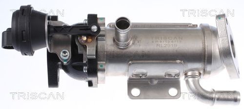 TRISCAN EGR-koeler 8813 25101 TRISCAN Koeler uitlaatterugvoering RENAULT 8813 25101