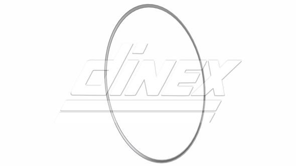 DINEX Guarnizione, Tubo gas scarico 6LL008 6LL008 costo Guarnizione scarico DINEX FORD USA FUSION