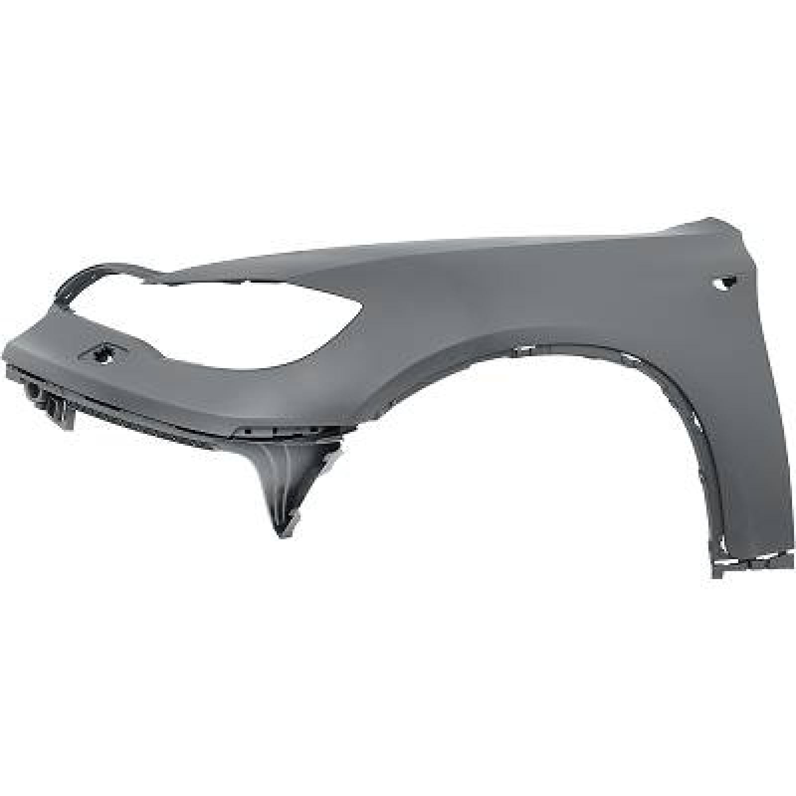 Parafango DIEDERICHS 1295207 DIEDERICHS 1295207 Parafanghi BMW X6 2011