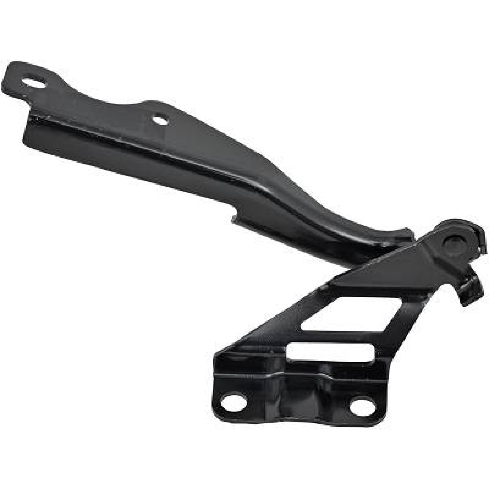 DIEDERICHS Hinge, bonnet 5620019 DIEDERICHS 5620019 MAZDA BT-50 Pickup (CD, UN) hood replacement