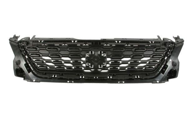 BLIC Griglia radiatore 6502-07-6623990Q BLIC 6502-07-6623990Q Griglia radiatore Seat Ibiza IV Sportcoupe originale prezzo