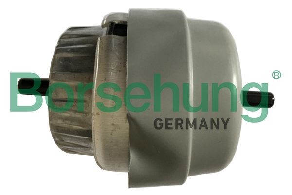 Borsehung Motorfeste B19135 Motor lagring Borsehung Audi A3 B19135
