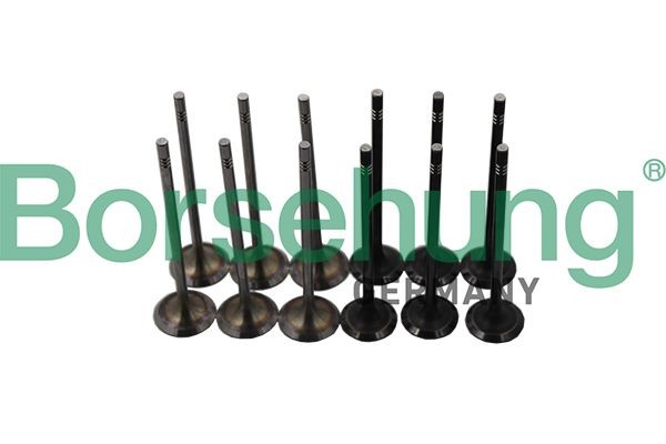 Borsehung Sisselaskeventiil B19160 Borsehung B19160 Sisselaskeklapp SKODA Fabia IV Hatchback (PJ3) odava hinnaga