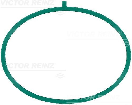 REINZ Τσιμούχα, πολλαπλή εισαγωγής 71-17375-00 REINZ 71-17375-00 Τσιμουχα πολλαπλής εισαγωγής X5 (G05) τιμες