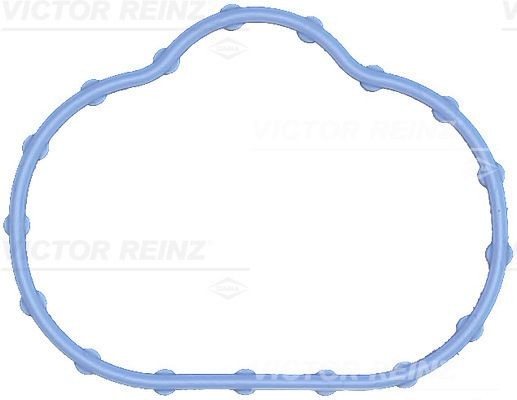 Tetning, innsugningsmanifold REINZ 71-17497-00 REINZ 71-17497-00: Innsugspakning Jaguar X-TYPE 2007