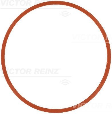 REINZ Guarnizione, Collettore aspirazione 71-17585-00 REINZ 71-17585-00 Guarnizione collettore aspirazione Land Rover Discovery L550 prezzo