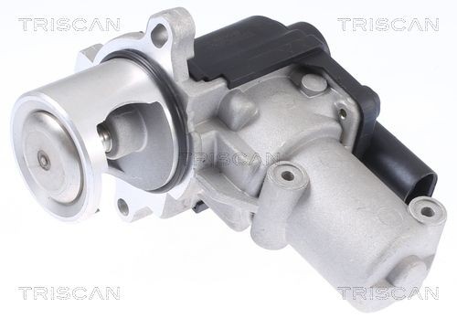 TRISCAN Βαλβίδα AGR 8813 29310 EGR TRISCAN SCIROCCO 8813 29310 φθηνά