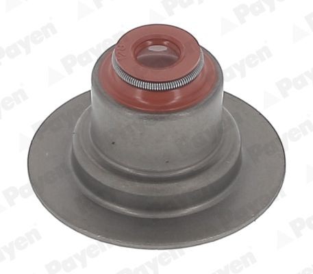 PAYEN Tiivistesarja, venttiilivarsi HR5145 PAYEN HR5145 Renault Clio 3 Grandtour venttiilinvarren kumit hinta