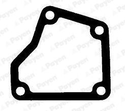 PAYEN Tiiviste, termostaatin kotelo KK5736 KK5736 PAYEN Termostaatin tiiviste HYUNDAI IONIQ