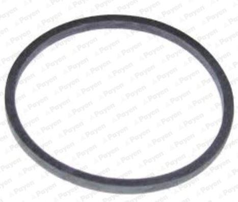 PAYEN Bague d'étanchéité, radiateur d'huile KK5738 Joint d'étanchéité radiateur d'huile PAYEN LEON KK5738 pas cher