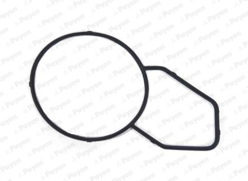 PAYEN Guarnizione, Alloggiam. termostato KK5744 PAYEN KK5744 Guarnizione di tenuta acqua raffreddamento BMW Z3 Roadster prezzo