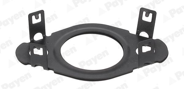 PAYEN Dichtring, leiding AGR klep KK5745 PAYEN KK5745 Egr-klep pakking Skoda Rapid NH3 prijs