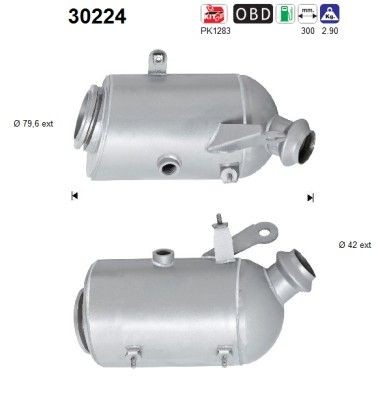 AS Catalizzatore 30224 30224 costo Catalizzatore AS RENAULT KADJAR