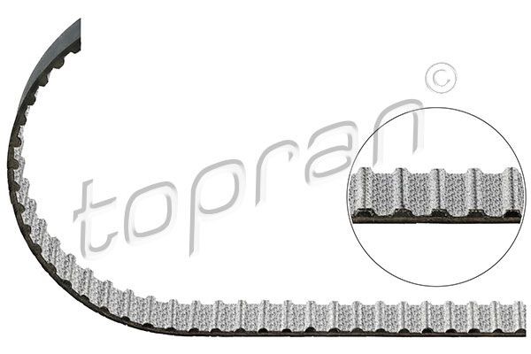 TOPRAN Correa dentada 304 924 TOPRAN Correa de motor 304 924 experiencia