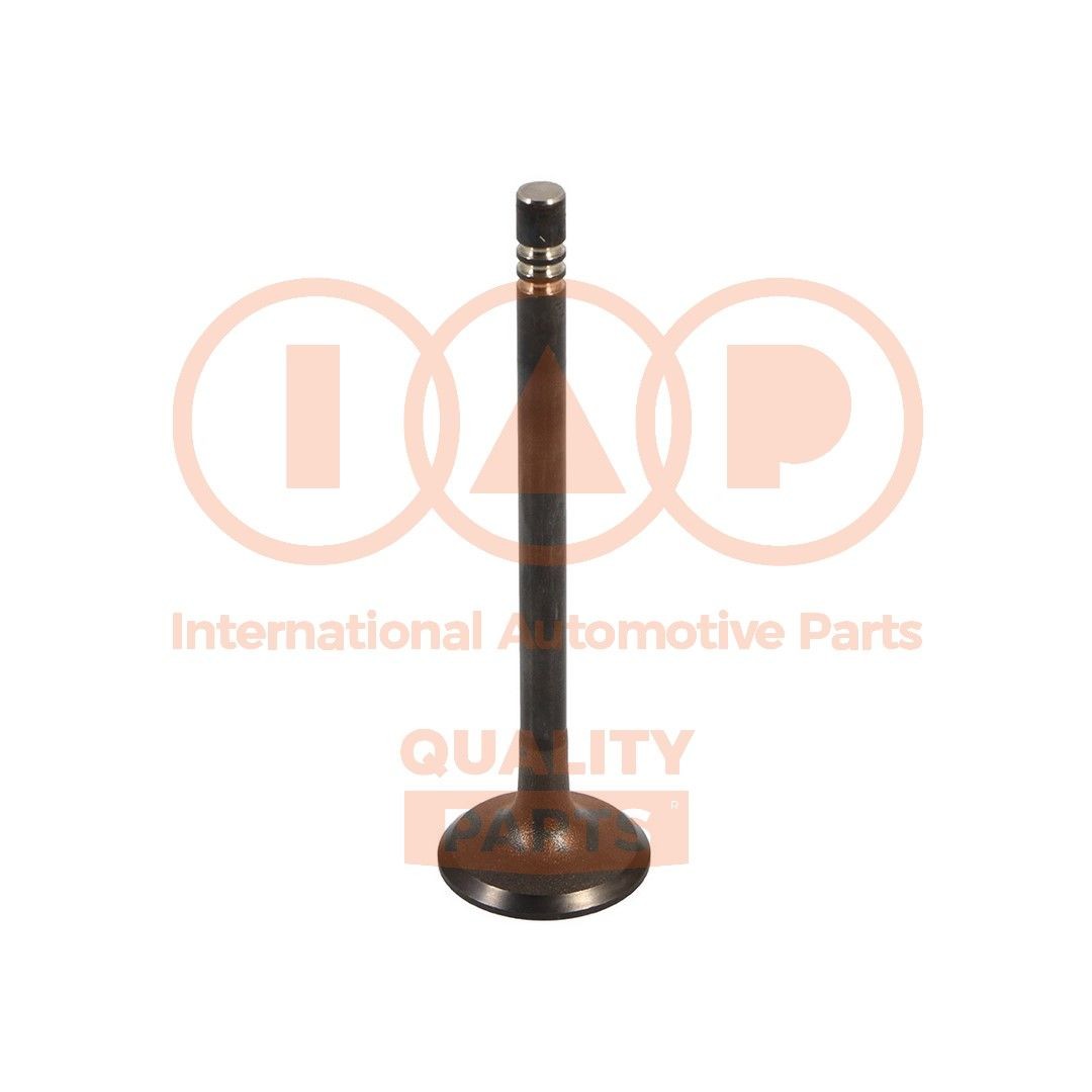 IAP QUALITY PARTS Insugsventil 110-07065G 110-07065G IAP QUALITY PARTS insugningsventil HYUNDAI i30