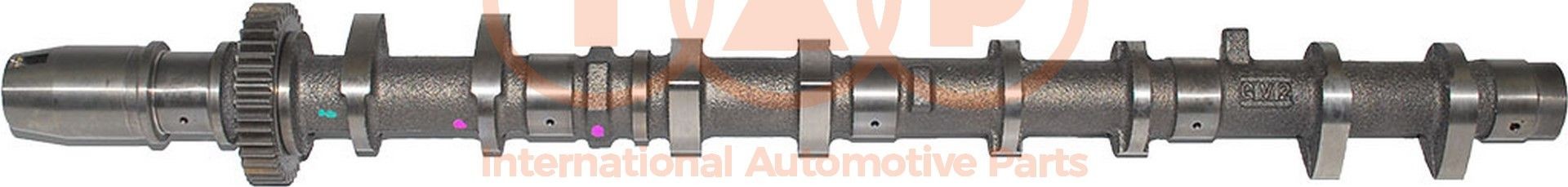 IAP QUALITY PARTS Εκκεντροφόρος άξονας 124-17150G Εκκεντροφόρος άξονας IAP QUALITY PARTS Toyota COROLLA 124-17150G