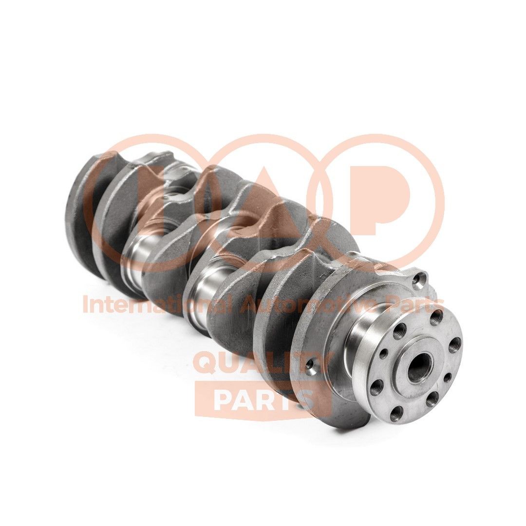 IAP QUALITY PARTS Albero motore 126-16101 IAP QUALITY PARTS 126-16101 Albero a collo d'oca Fiat Ducato 244 Camion pianale prezzo