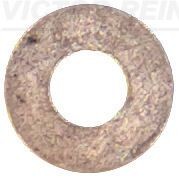 REINZ Afdichtring, injectieklep 40-70049-00 Dichtring verstuiverhouder REINZ PEUGEOT 40-70049-00