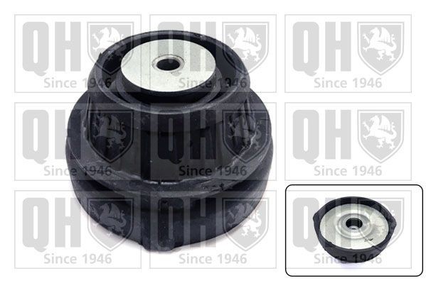 Βάση στήριξης γόνατου ανάρτησης QUINTON HAZELL EMR4854 QUINTON HAZELL EMR4854 Βάση αμορτισέρ ALFA ROMEO SPIDER 2005