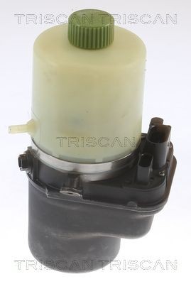 TRISCAN Servopumpe 8515 29687 TRISCAN 851529687 Servostyringspumpe Skoda Rapid nh1 pris