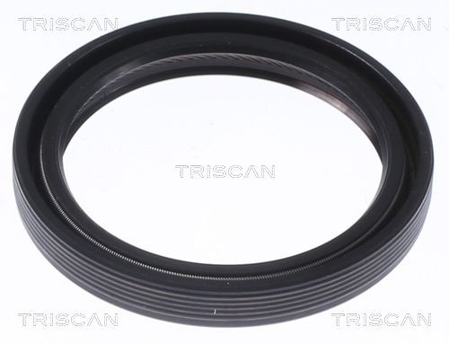 TRISCAN Nokkenas keerring 8550 10079 Nokkenas keerring TRISCAN IONIQ 8550 10079 goedkoop