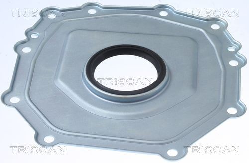 TRISCAN Simring, veivaksel 8550 29036 Simring veivaksel TRISCAN TERIOS 8550 29036 billige