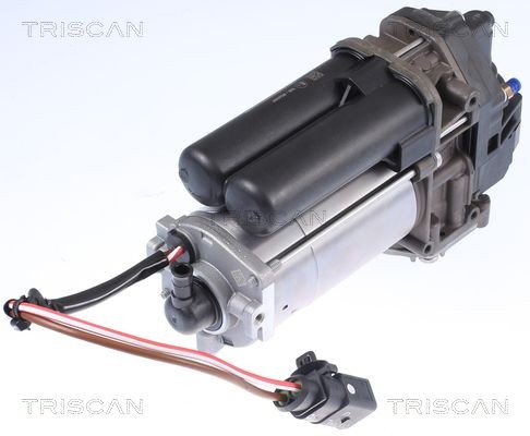 TRISCAN Kompressor Luftfederung 8725 81101 8725 81101 Luftfeder TESLA MODEL X TRISCAN kaufen