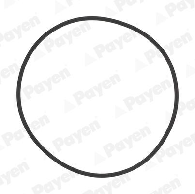 PAYEN Pakningssæt, cylinderforing HL5383 HL5383 Krumtaphuspakning PAYEN KIA VENGA