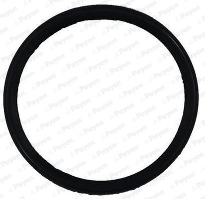 PAYEN Tetning, innsugningsmanifold JD6150 Innsugsmanifold pakning PAYEN Citroën XANTIA JD6150