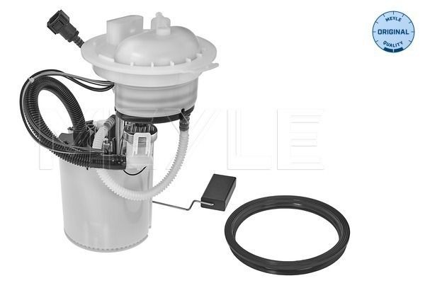 MEYLE Bensiinipump 100 919 0116 MEYLE 1009190116 Kütusepump VW Passat CC hind