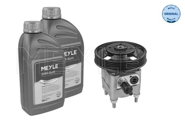 MEYLE Servopumpe 514 631 0021/S MEYLE 514 631 0021/S originale Hydraulikkpumpe RENAULT SUPER 5 pris