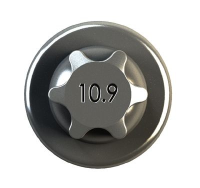 IPSA Plejlstangskrue COB00400 IPSA COB00400 Opel Frontera Sport Bolt / møtrik plejlstangskrue pris