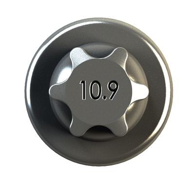 IPSA Plejlstangskrue COB00500 IPSA COB00500 Seat Ibiza GP01 Bolt / møtrik plejlstangskrue pris