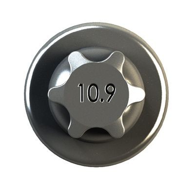 IPSA Βίδα μπιέλας COB00900 IPSA COB00900 Βίδα / παξιμάδι μπιέλας Toyota Land Cruiser 200 τιμες